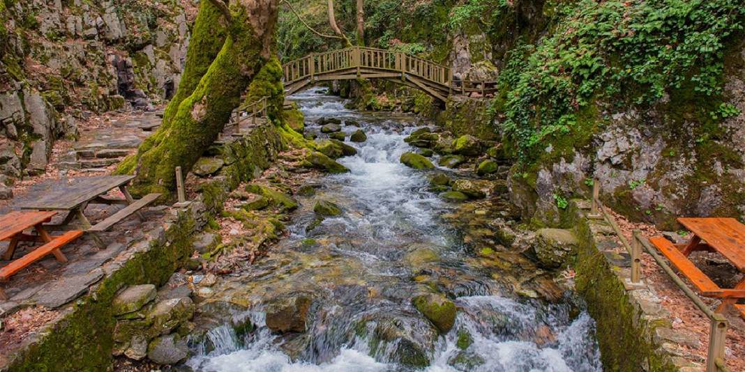 İsteyene cam gibi deniz, isteyene yemyeşil doğa! Dünyada oksijeni en yoğun olan bölgelerden: Tatilcilerin favori adresi 5
